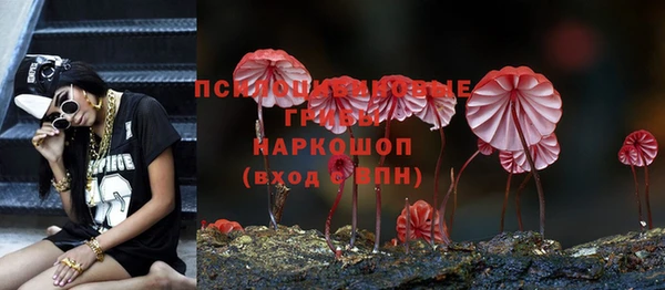 jwh Алзамай