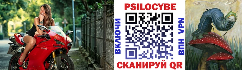 наркотики  Карачаевск  Галлюциногенные грибы Psilocybe 