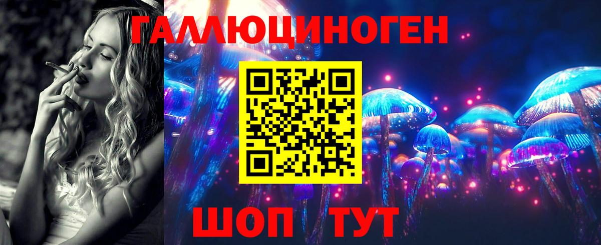 Галлюциногенные грибы мицелий  Псилоцибиновые грибы GOLDEN TEACHER  Вход с VPN  Карачаевск 